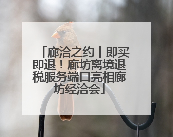 廊洽之约丨即买即退！廊坊离境退税服务端口亮相廊坊经洽会